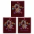 recznik-frotte-30x50-bordo-100-bawelna-500g-miekki-chlonny-wz103.webp